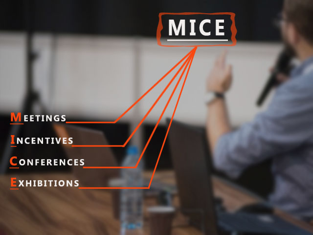 what MICE means and its full form